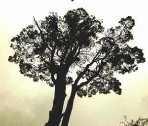 Photography Caroline Cunningham