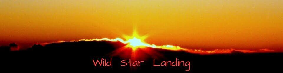 Wild Star Landing Blog