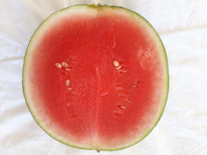 Inspiration for healthy living
